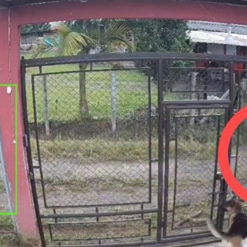 PASTOR EVANGELICO COLOMBIANO FUE LINCHADO POR SUS VECINOS AL SER DESCUBIERTO ABUSANDO DE SU HIJASTRA.