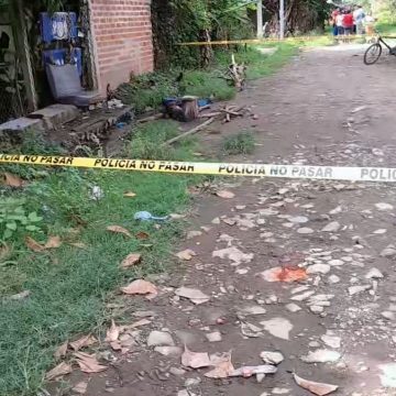 DOS FALLECIDOS POR ATAQUE DE ENJAMBRE DE ABEJAS EN AGUILARES
