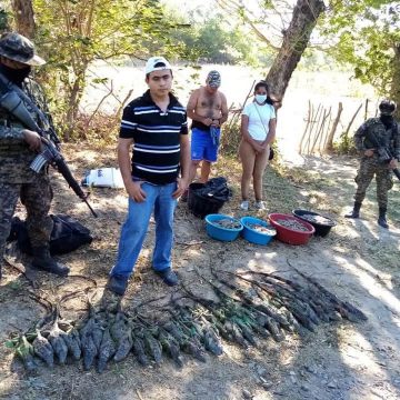 SORPRENDEN A CUATRO HONDUREÑOS CON IGUANAS VIVAS EN INTENTO DE INGRESO ILEGAL A EL SALVADOR
