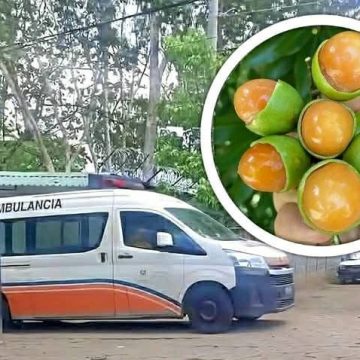 TRAGEDIA EN ILOBASCO: NIÑO DE 7 AÑOS PIERDE LA VIDA TRAS ATRAGANTARSE CON SEMILLA DE MAMONCILLO