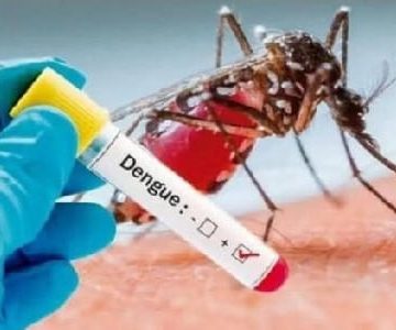 AUMENTAN LOS CASOS DE DENGUE EN EL SALVADOR: MÁS DE 1,100 SOSPECHOSOS Y 45 CONFIRMADOS EN 2025