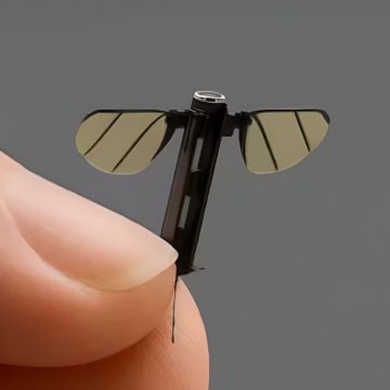 CHINA REVELA DRON ESPÍA DEL TAMAÑO DE UN MOSQUITO PARA MISIONES DE RECONOCIMIENTO
