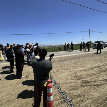 ICE Y CBP ARRESTAN A 361 MIGRANTES EN CALIFORNIA DURANTE REDADA MASIVA EN CULTIVOS DE CANNABIS