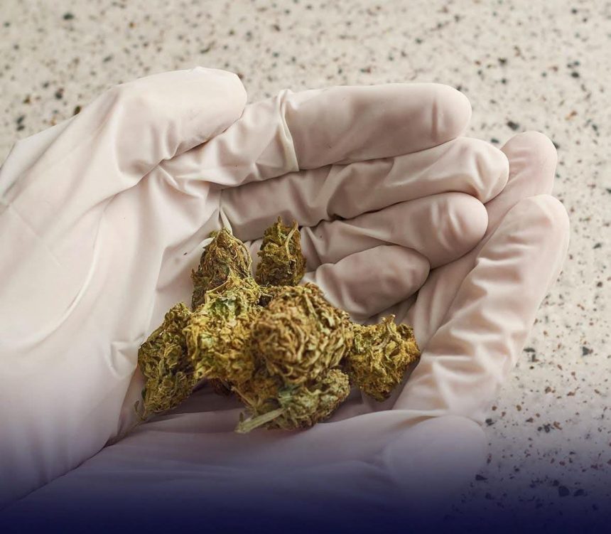 DETENCIÓN PROVISIONAL PARA ACUSADO DE TRAFICAR MARIHUANA EN GOMITAS