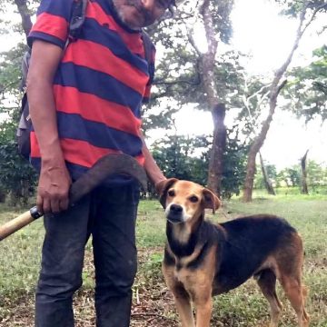 FALLECE HOMBRE EN CORINTO, MORAZÁN, Y SU PERRO PERMANECE JUNTO A ÉL HASTA EL FINAL