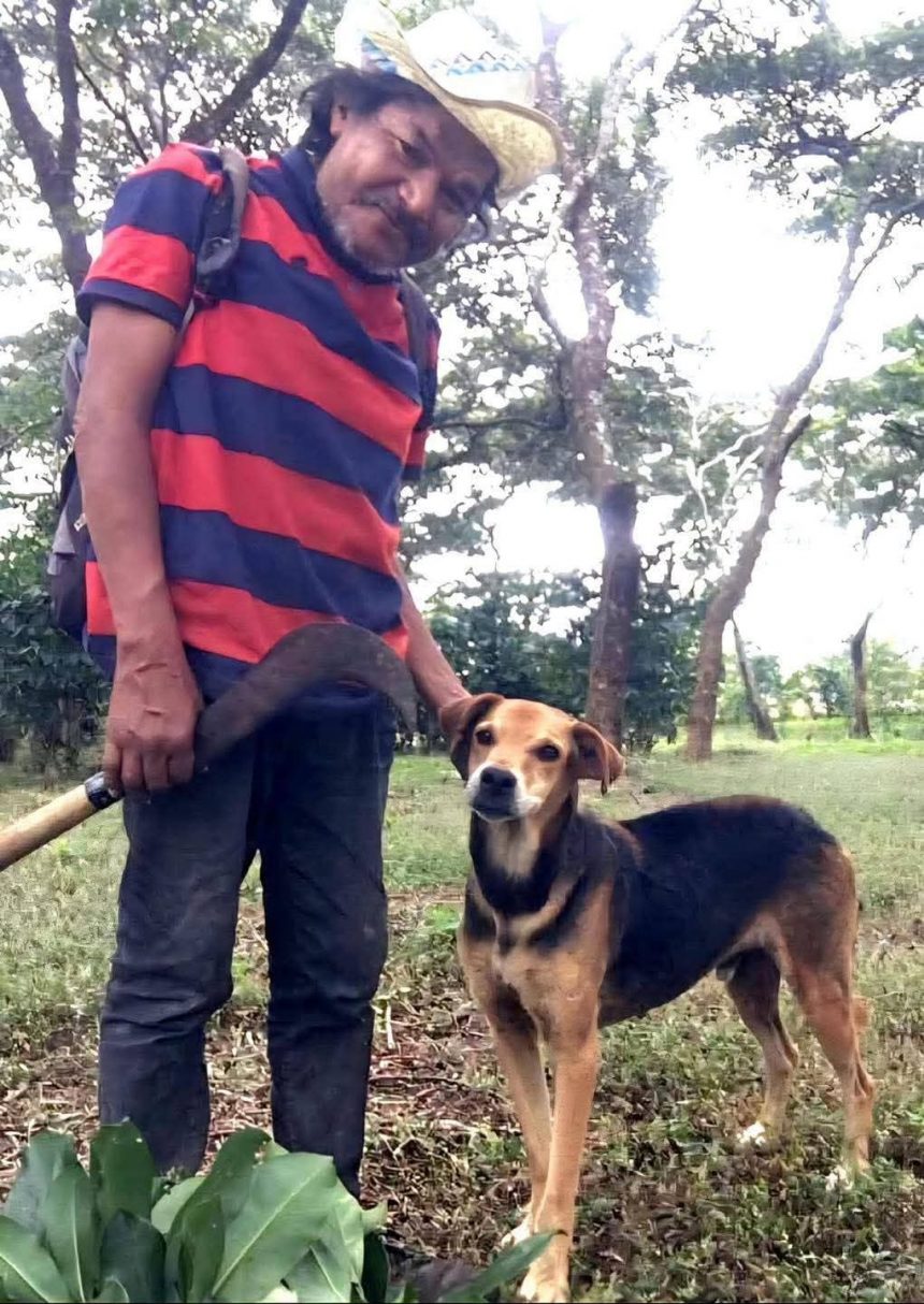 FALLECE HOMBRE EN CORINTO, MORAZÁN, Y SU PERRO PERMANECE JUNTO A ÉL HASTA EL FINAL