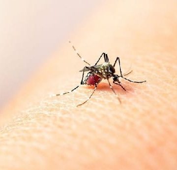 MINISTRO DE SALUD CONFIRMA PRIMERA MUERTE POR DENGUE EN 2025