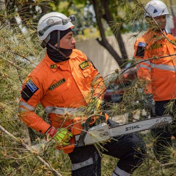PROTECCIÓN CIVIL REMUEVE ÁRBOL CAÍDO TRAS FUERTES LLUVIAS EN MEJICANOS