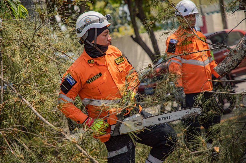 PROTECCIÓN CIVIL REMUEVE ÁRBOL CAÍDO TRAS FUERTES LLUVIAS EN MEJICANOS