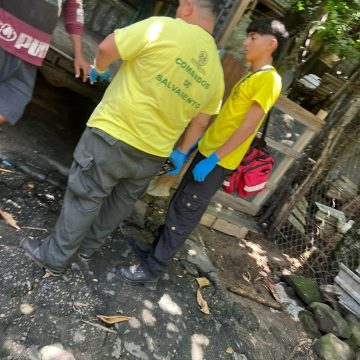 HOMBRE FUE MORDIDO POR UNA SERPIENTE CASCABEL EN LA TRONCAL DEL NORTE EN SAN SALVADOR