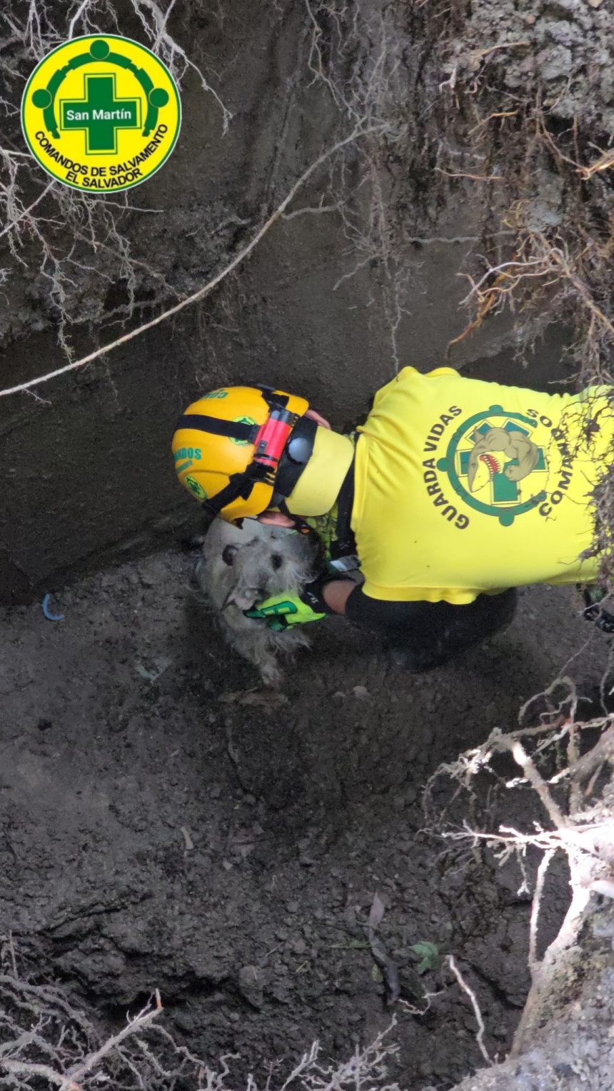 RESCATARON A PERRITO ATRAPADO EN CÁRCAVA EN SAN MARTÍN