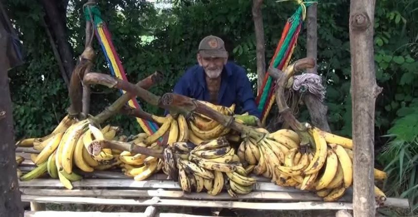 ANCIANO EJEMPLAR; A SUS 90 AÑOS, SALVADOREÑO SE GANA EL SUSTENTO DIARIO VENDIENDO PLÁTANOS