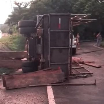CAMIÓN QUE TRANSPORTABA CERDOS VOLCÓ EN EL BY PASS DE SONSONATE
