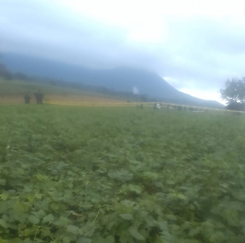 DOS PERSONAS MUEREN IMPACTADAS POR RAYO EN NAHUIZALCO, SONSONATE NORTE