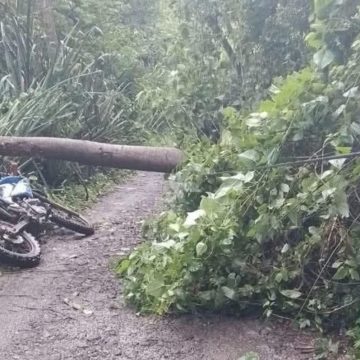 MOTOCICLISTA SOBREVIVE TRAS CAERLE ENCIMA UN ÁRBOL EN SENSUNTEPEQUE
