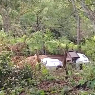 CONOZCA A JOSÉ RUBIO EL ADOLESCENTE QUE MURIÓ TRAS SUFRIR DESCARGA ELÉCTRICA EN NUEVA ESPARTA, LA UNIÓN