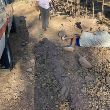 UN HOMBRE FUE ATACADO POR UN ENJAMBRE DE ABEJAS EN SANTA ROSA DE LIMA,LA UNIÓN