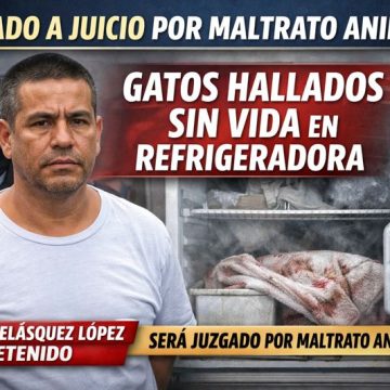 ENVIAN A JUICIO A HOMBRE ACUSADO DE MALTRATO ANIMAL TRAS HALLAZGO DE GATOS SIN VIDA EN SU VIVIENDA