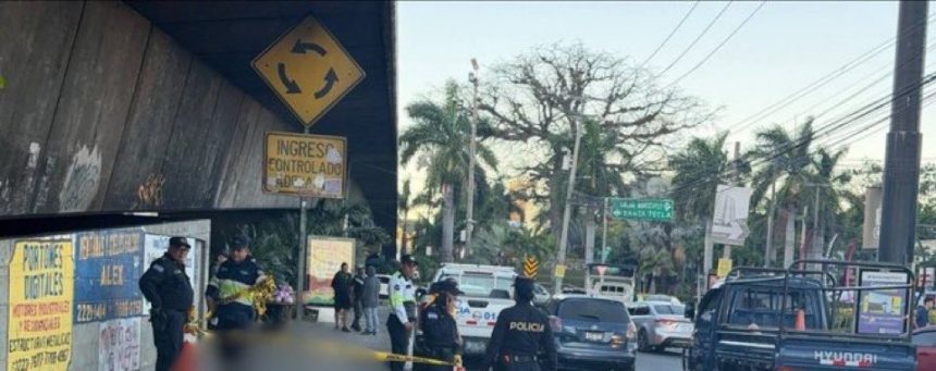 muerto arbol de la paz 2 PERSONA EN SITUACIÓN DE CALLE FALLECE EN PASO A DESNIVEL DEL ÁRBOL DE LA PAZ