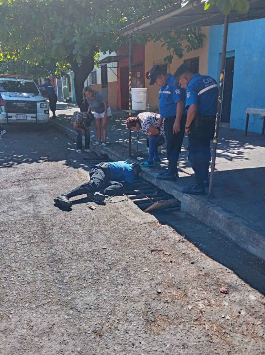 RESCATAN A PERRO QUE CAYÓ EN UN TRAGANTE EN SANTA ANA