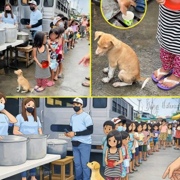 PERRITO CALLEJERO SORPRENDE AL ESPERAR SU TURNO EN FILA PARA RECIBIR COMIDA