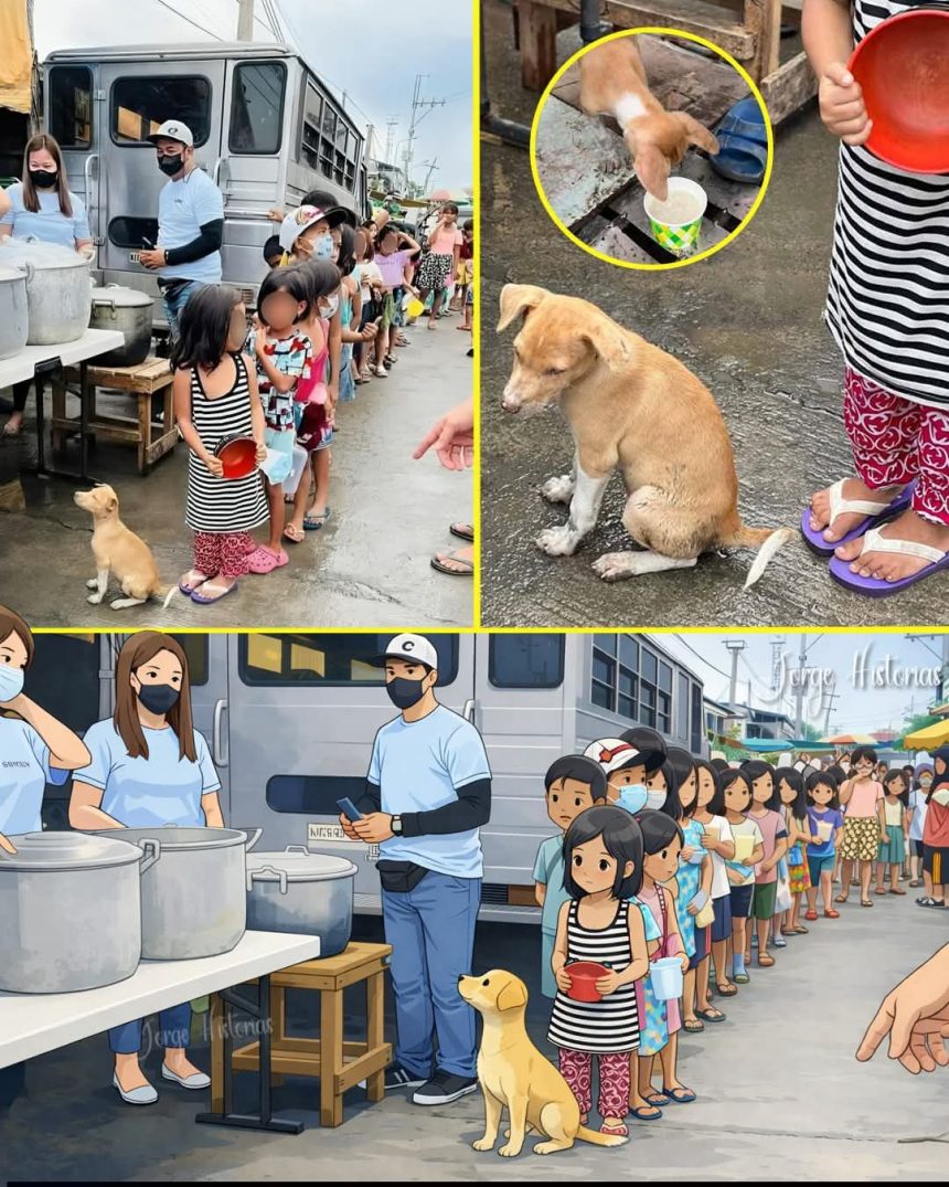 perro PERRITO CALLEJERO SORPRENDE AL ESPERAR SU TURNO EN FILA PARA RECIBIR COMIDA