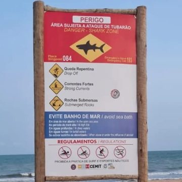 FALLECE ADOLESCENTE TRAS ATAQUE DE TIBURÓN EN PLAYA DE OLINDA, BRASIL
