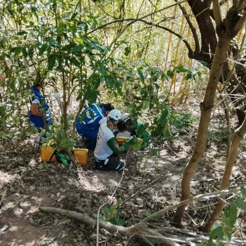 CRUZ VERDE Y EK SEM RESCATARON A UNA MUJER QUE CAYÓ A BARRANCO EN AUTOPISTA COMALAPA