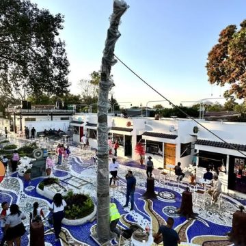 COMENZARON A INSTALALAR PALMERAS DE QATAR EN LA VILLA BETHEL Y EL BULEVAR LA FE DE CHALCHUAPA