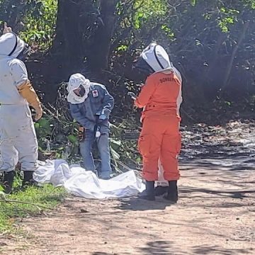 ADULTO MAYOR FALLECE TRAS INCIDENTE CON ABEJAS EN QUEZALTEPEQUE