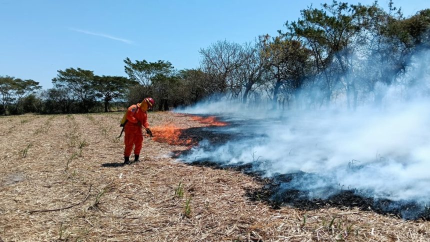 VARIOS INCENDIOS SE REGISTRAN EN DIFERENTES PUNTOS DE EL SALVADOR