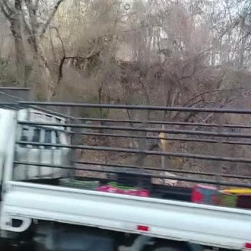 MENOR FALLECE Y TRES PERSONAS RESULTAN LESIONADAS EN ACCIDENTE DE TRÁNSITO EN CARRETERA METAPÁN–SANTA ANA