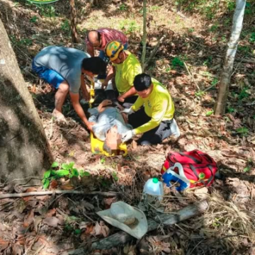 caido HOMBRE GRAVEMENTE LESIONADO TRAS CAER DE UN ÁRBOL EN TONACATEPEQUE