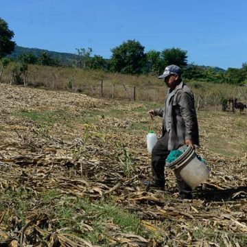 EL FENÓMENO DE EL NIÑO IMPACTARÁ A EL SALVADOR CON MENOS LLUVIAS Y MÁS CALOR