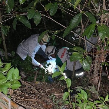 ENCONTRARON A HOMBRE SIN VIDA EN UNOS CAFETALES EN EL CONGO, SANTA ANA