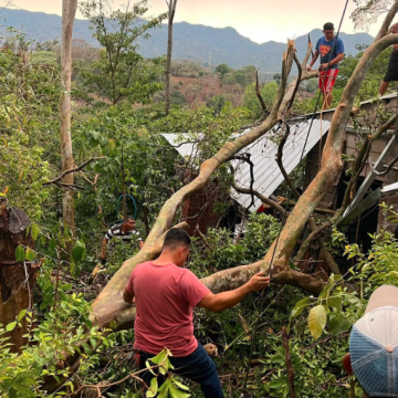 ÁRBOL COLAPSA SOBRE VIVIENDA EN TACUBA, AHUACHAPÁN