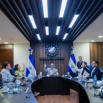 COMISIÓN POLÍTICA ESTUDIA REFORMAS ELECTORALES Y CAMBIOS RELACIONADOS CON LA DIÁSPORA SALVADOREÑA