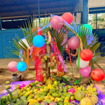 DÍA DE LA CRUZ: TRADICIÓN, FE Y ABUNDANCIA EN EL SALVADOR