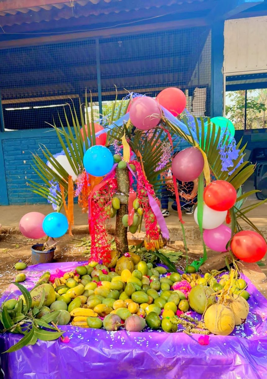 DÍA DE LA CRUZ: TRADICIÓN, FE Y ABUNDANCIA EN EL SALVADOR