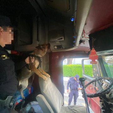 PNC REPORTA CAPTURA DE HOMBRE TRAS INCAUTACIÓN DE MARIHUANA DURANTE INSPECCIÓN VEHICULAR