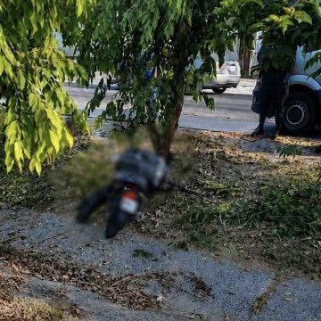 MOTOCICLISTA MUERE TRAS IMPACTAR CONTRA UN ÁRBOL EN LA CARRETERA DE ORO