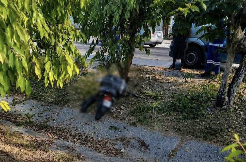 MOTOCICLISTA MUERE TRAS IMPACTAR CONTRA UN ÁRBOL EN LA CARRETERA DE ORO