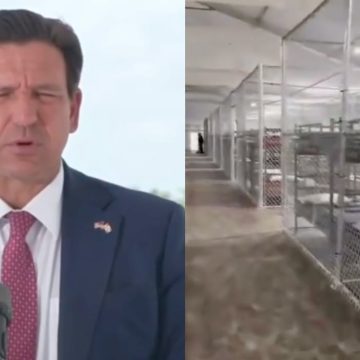 FLORIDA CERRARÁ EL CENTRO DE DETENCIÓN MIGRATORIA «ALLIGATOR ALCATRAZ» TRAS QUEDAR SIN DETENIDOS