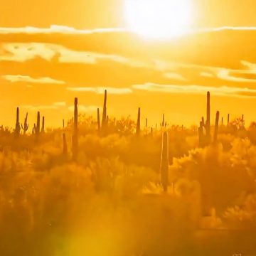 SOL AUTORIDADES EMITEN ALERTA POR INTENSA OLA DE CALOR EN VARIOS ESTADOS DE EE. UU.