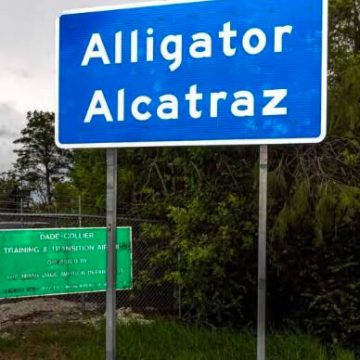 aligator 1 FLORIDA AFIRMA QUE CENTRO DE DETENCIÓN «ALLIGATOR ALCATRAZ» PODRÍA VOLVER A RECIBIR MIGRANTES