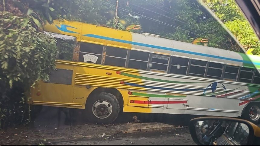 bus 1 PERSONA RESULTA LESIONADA TRAS SER ATROPELLADA POR AUTOBÚS DE LA RUTA 37 EN SANTO TOMÁS