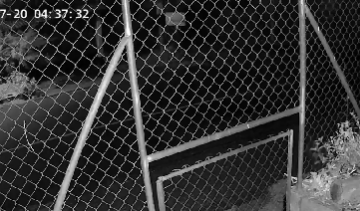 CÁMARA DE VIDEOVIGILANCIA CAPTÓ EL PASO DE LOS VEHÍCULOS INVOLUCRADOS EN ACCIDENTE MORTAL DE AYER EN LA LIBERTAD