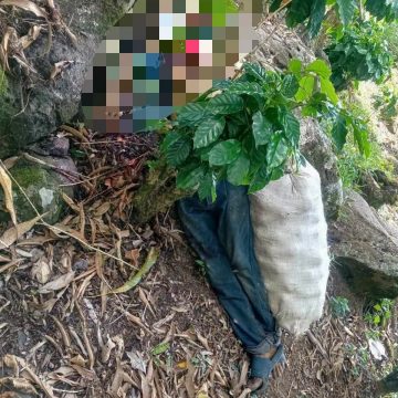 chalchuapa AUTORIDADES PROCESAN ESCENA DE HOMICIDIO EN UNA FINCA DE CHALCHUAPA