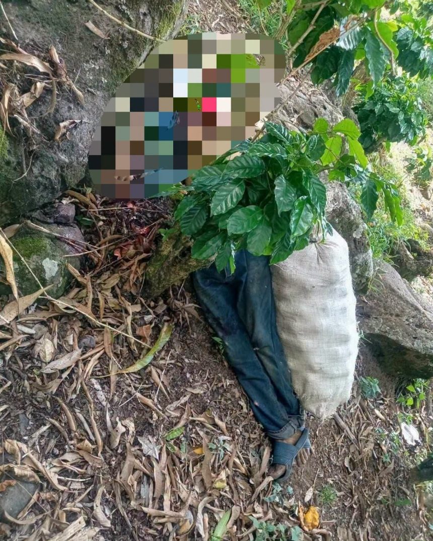 chalchuapa AUTORIDADES PROCESAN ESCENA DE HOMICIDIO EN UNA FINCA DE CHALCHUAPA