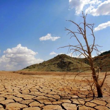 agua CRISIS HÍDRICA EN HONDURAS: 75 MUNICIPIOS EN ALERTA ROJA POR SEQUÍA EXTREMA